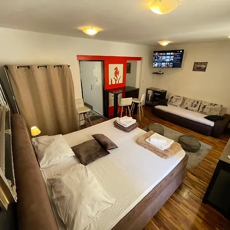 公寓 Old Town Insula 扎达尔